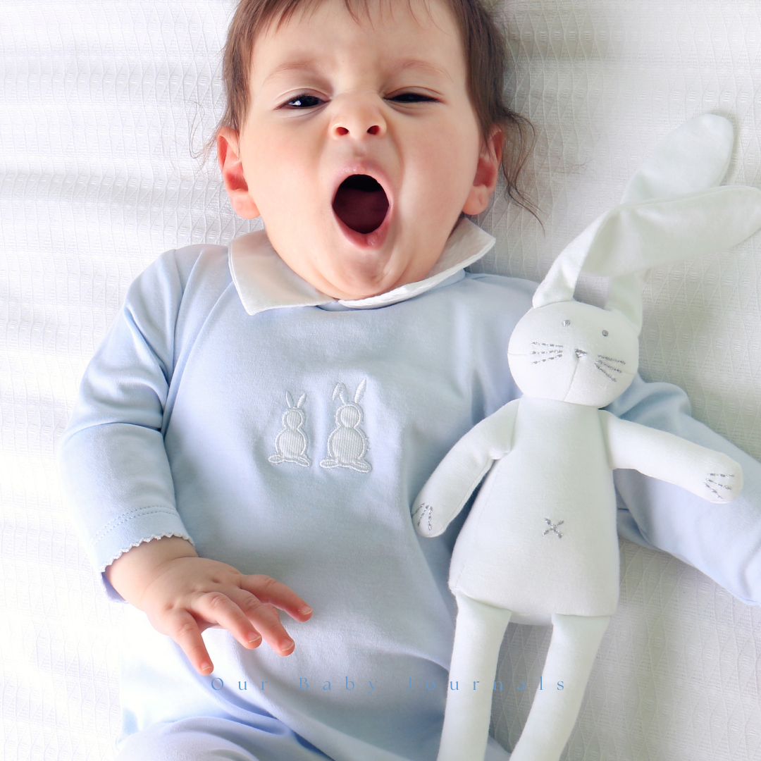 The science of sleep and why daytime naps are the cornerstone to great sleep for your child.