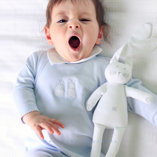 The science of sleep and why daytime naps are the cornerstone to great sleep for your child.